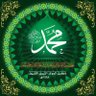 مجاهد profil fotoğrafı