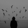 غـيم's profile picture