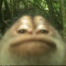 CoutoCoutoCouto's profile picture