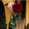 سَارَہ شُعَیْب profil fotoğrafı