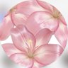 شِـ's profile picture