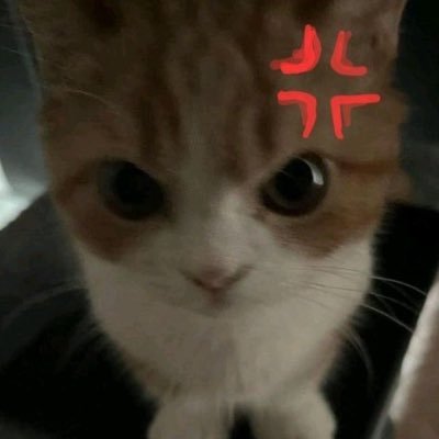 bdullah3_'s profile picture