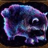 Profilbild von Procyon Lotor