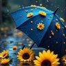 Miral profil fotoğrafı