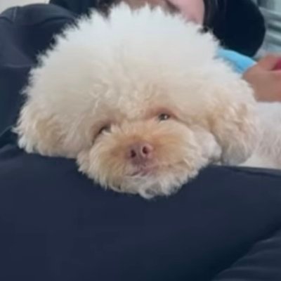 Tuğçe's profile picture