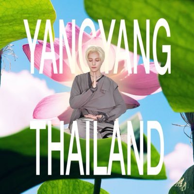 YANGYANGLIU_TH's profile picture