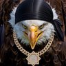 Фото профиля 🇺🇸DrainDad🦅