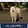 Фото профиля الهلي تو وان