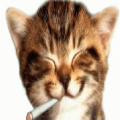 dubugrass's profile picture