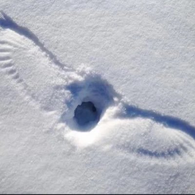 Faithyroyal's profile picture