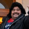 el tanilove's profile picture