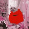 Profilbild von Adah
