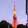 しゅ〜★'s profile picture