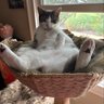 Mwekow's profile picture