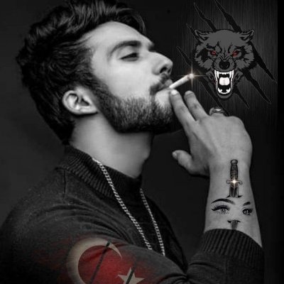 poyrassalpp's profile picture