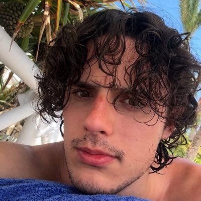 harry collett horny updates's profile picture