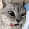 hwem_mweh profil fotoğrafı