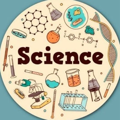 sciencefvct's profile picture
