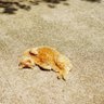👲@旅/神社仏閣/自然/駅舎/建築物's profile picture