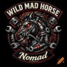 ZH_NOMAD profil fotoğrafı