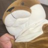 Profilbild von かつや
