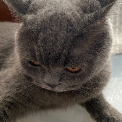 Bearjxj1un's profile picture