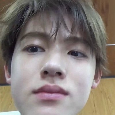 dailylilsyo's profile picture