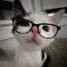 Mysthicat's profile picture