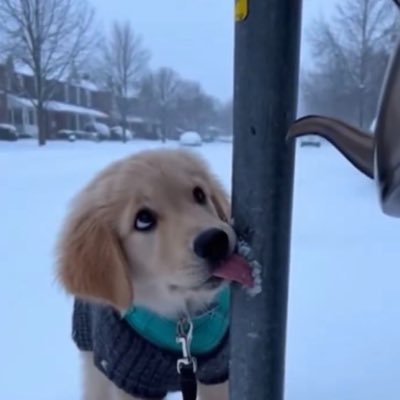 AD不是奶's profile picture