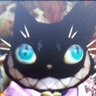 Catman 的头像