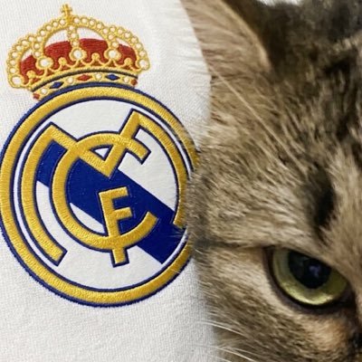 vyn's profile picture