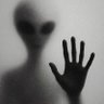 Profilbild von HopInTheUFO🛸