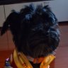 Profilbild von Jj