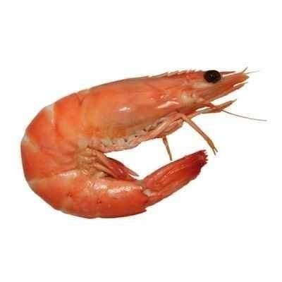 aielg_'s profile picture