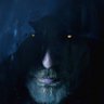 SILVERHAND profil fotoğrafı