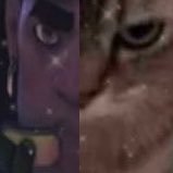 hauseofleaves's profile picture