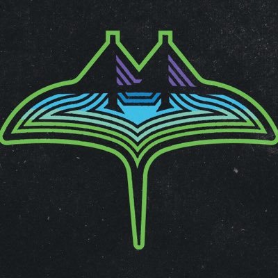 RaysBaseball's profile picture