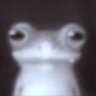 T3K profil fotoğrafı