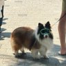멜리's profile picture