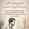 Фото профиля Syed Umar