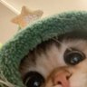 Profilbild von Maya