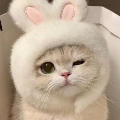 นอธอ ꒰ᐢ. .ᐢ꒱ྀི's profile picture