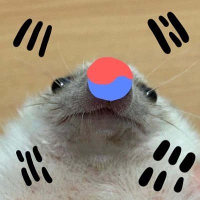 두바이쫀득도치's profile picture