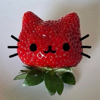 Moranguinho Lohikäärme's profile picture