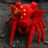 支那猪研究院's profile picture