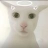 老吴 profil fotoğrafı