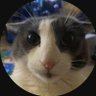 Profilbild von zLeviiREAL