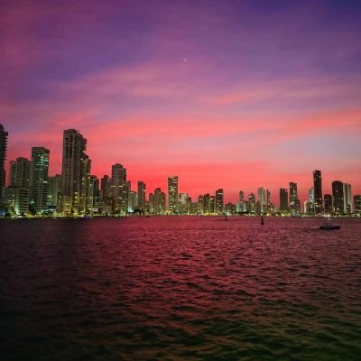 BibidelMar's profile picture