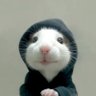 Mat's profile picture