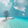 Фото профиля Ocean328